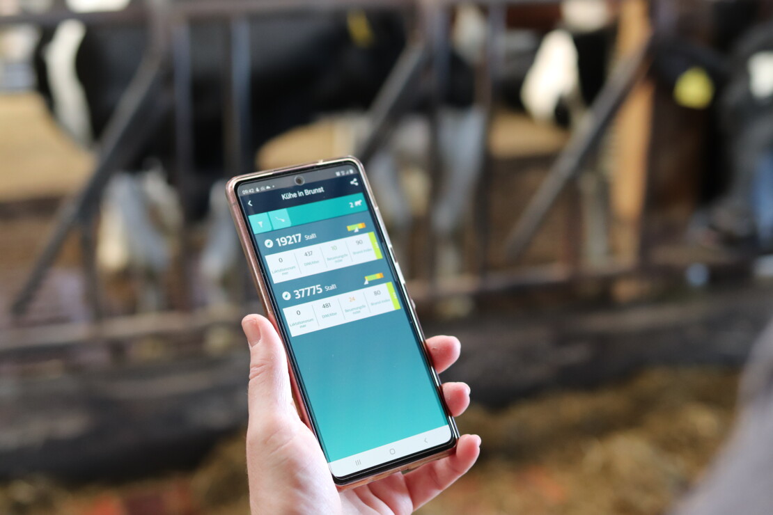 Smart Farming: Simone Struckmann-Hegewald hat alle Daten ihrer Rindern in der App auf ihrem Smartphone und kann sie von jedem Ort aus bequem betrachten.